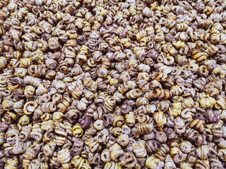 Dried herbs for brewing tea as a background