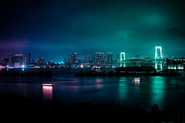 Fototapeta na wymiar City lights over Tokyo Bay