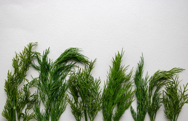 Obraz premium fresh green dill isolated on white background. top view