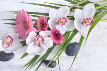 beautiful bouquet of white orchids and pink daisies in leaf and pebbles on white table background