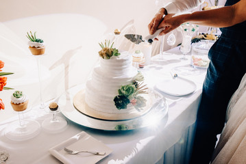 A bride and a groom is cutting their wedding cake
