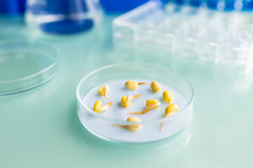 Biotechnology and laboratory research on organic plant cultivation.