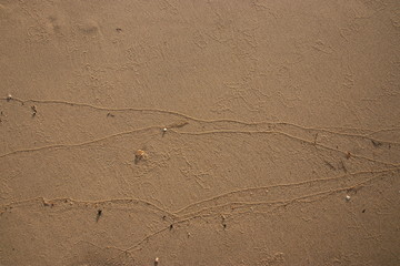 Patterns Texture of sand on the beach, Phuket Thailand