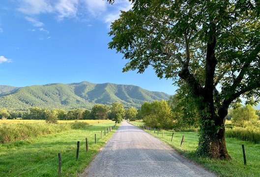 Cades Cove Path