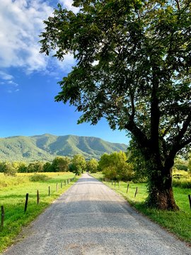 Cades Cove Path