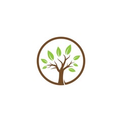 Obraz premium Tree logo template