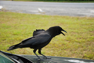 Everglades National Park, Florida