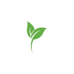 Green leaf logo