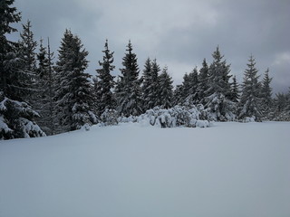 Zimowa sceneria Niżne Tatry na Słowacji okolice Pohorela
