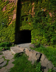 Fototapete bei efototapeten.de bestellen   