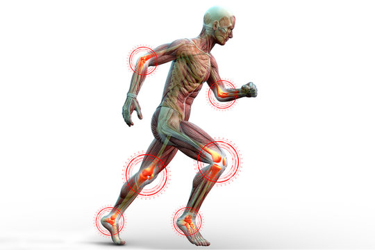 Joint pain in humans, anatomical vision. 3d illustration.