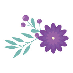 cute flower with branches and leafs decoration vector illustration design