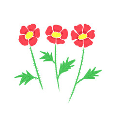 Print poppies. Floral print on a white background. Print for wallpaper, fabric, paper and other surfaces.