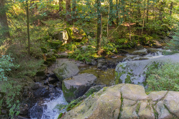 around Vologne river