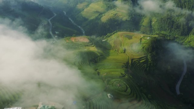 Stunning rice terraces of Northern Vietnam