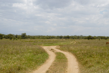 road in the field