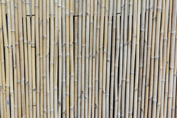 Part of the bamboo fence, natural background