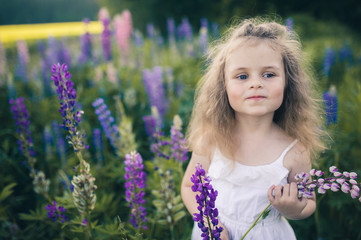 Cute little girl in a white dress on a field of lupins