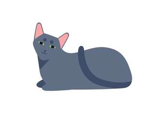 Smiling cartoon russian blue cat breed vector flat illustration. Carefree cute domestic animal lying isolated on white background. Funny gray thoroughbred pet relaxing