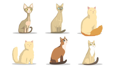 Fototapeta na wymiar Collection of Different Cats Breeds, Lovely Pets Animals of Various Colors Vector Illustration on White Background
