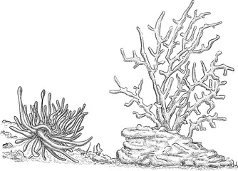 vector - fish tank - decoration