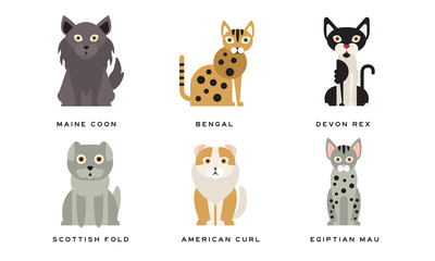 Collection of Different Cats Breeds, Maine Coon, Bengal, Devon Rex, Scottish, Fold, American Curl, Egyptian Mau Lovely Pets Animals Vector Illustration on White Background