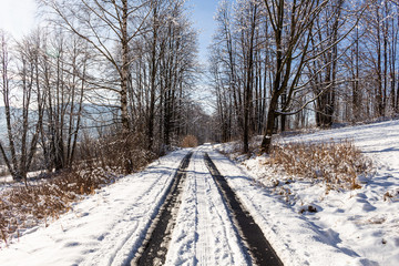 Winter alley running between the frozen trees. Beautiful winter landscape with snow covered trees.
