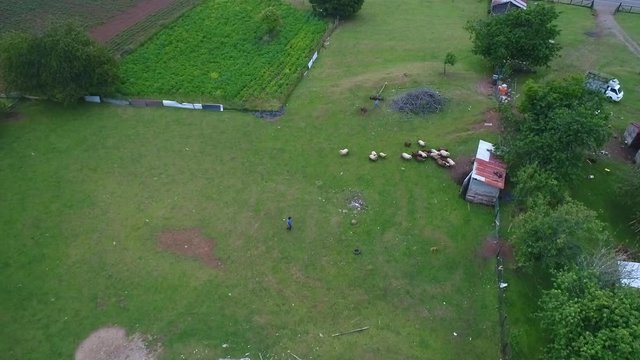 Parcela en campos de Puerto Montt, Chile