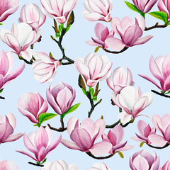 Obraz na płótnie Canvas pattern. pink magnolia drawing. Hand-drawn magnolias in gouache. spring flowers on a branch. spring flowering gardens. design of cards, invitation.