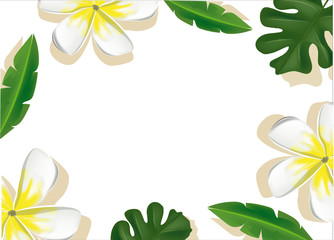 Floral background. Tropical flowers. Green leaves