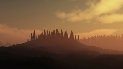 Hill with cypresses trees at sunset.