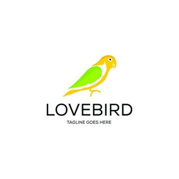 Lovebird logo design icon. Lovebird fuul colored design.