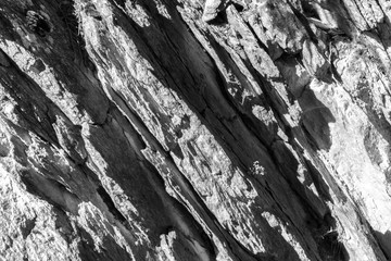 a forest somewhere in switzerland