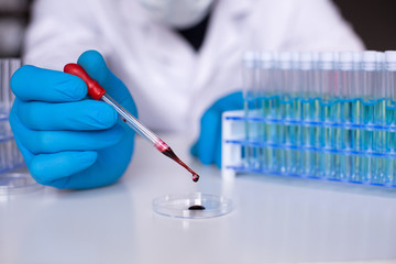 Laboratory blood tests. Human hand in rubber glove dripping a gore by pipette in petri dishes,...