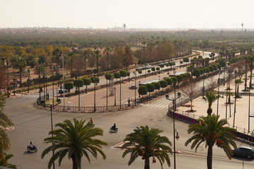 Aerial view of luxury boulevard with palm trees, Marrakesh, Morocco