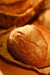 Assortment of baked bread on wooden table background. Bread background, top view of white, black and rye loaves. Healthy food. 