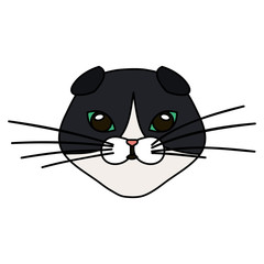 face of cat black and white isolated icon vector illustration design