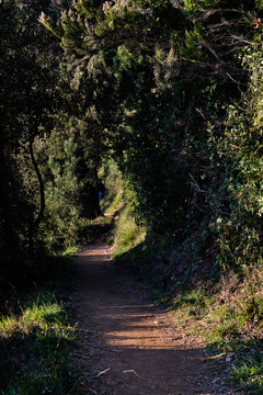 Foto scattata sul sentiero che collega Campiglia a Porto Venere.