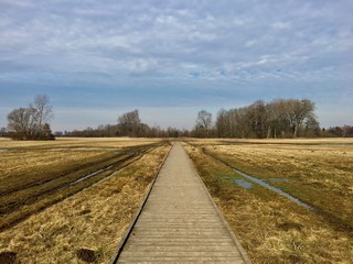 Footbridge over a swamp with wetlands and yellow grass. February, Czech Republic
