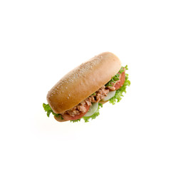 sandwich or sandwich with concept on background new.