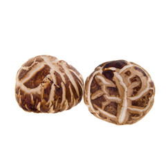 Mushroom or Dried Mushroom on a background.