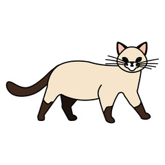 cute cat animal isolated icon vector illustration design