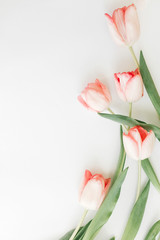 Pink tulips flat lay on white background with space for text. Spring flowers, stylish tender image. Hello spring. Greeting card floral border mockup. Happy Mothers day, vertical image