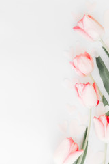 Fototapeta premium Spring flat lay. Pink tulips border on white background, space for text. Stylish soft spring image. Floral Greeting card mockup. Happy women's day. Happy Mothers day. Creative vertical photo