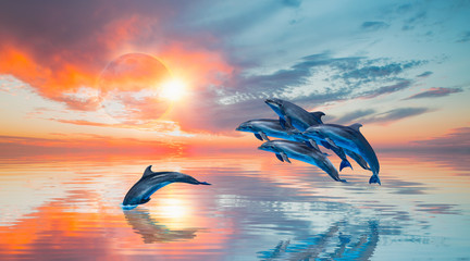 Group of dolphins jumping on the water - Beautiful seascape and sunset sky - on the background...