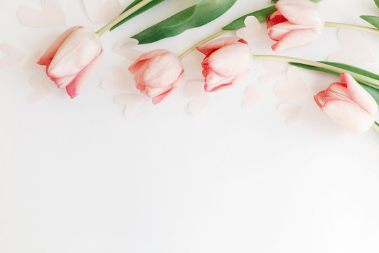 Pink tulips flat lay on white background with space for text. Spring flowers, stylish tender image. Hello spring. Greeting card floral border mockup. Happy Mothers day. Womens day