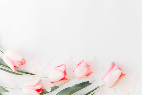 Spring flat lay. Pink tulips on white background with space for text. Spring flowers, stylish tender image. Hello spring. Greeting card floral border mockup. Happy Womens day. Mothers day
