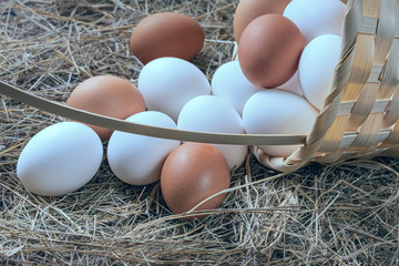 a lot of fresh chicken eggs in a straw basket on a background of hay. Healthy eating concept