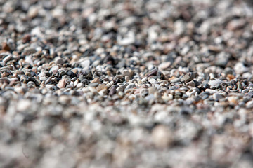 shingle two