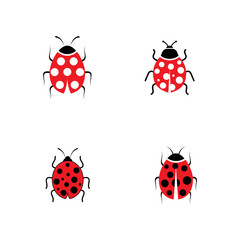 Beauty bug vector illustration icon design